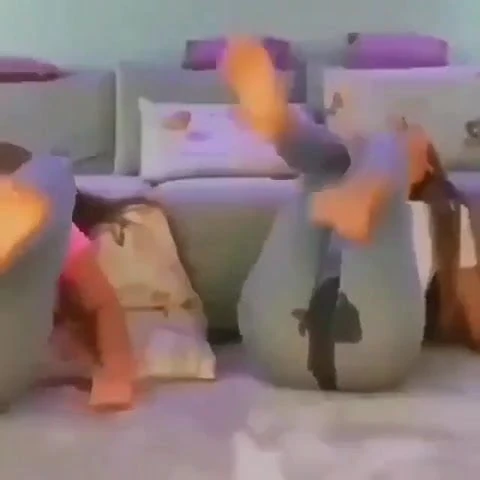 What an amazing video best all time