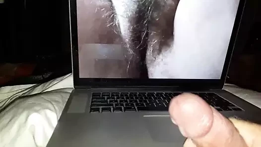 Josie Jo tribute