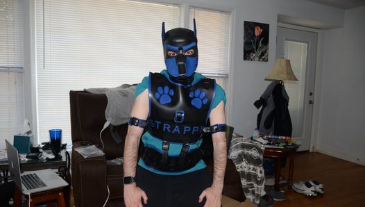 Jun 24 Unboxing my blue Bronco & Magnus harness, and Pup Strappys first bork haha