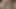 show my black penis come on everyone  my profile support me please