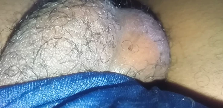 I doubt you can guess what this is, I'll give you a hint and it's big and hairy