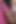 ずさんなファック、私のコックは彼の弱虫について考えています