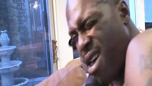 Cewek seksi rambut cokelat dientot habis-habisan sama kontol raksasa pria kulit hitam Seks anal ekstrem