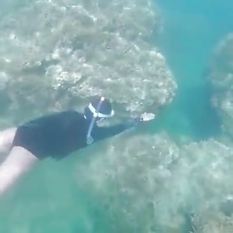 Ima Mermaid