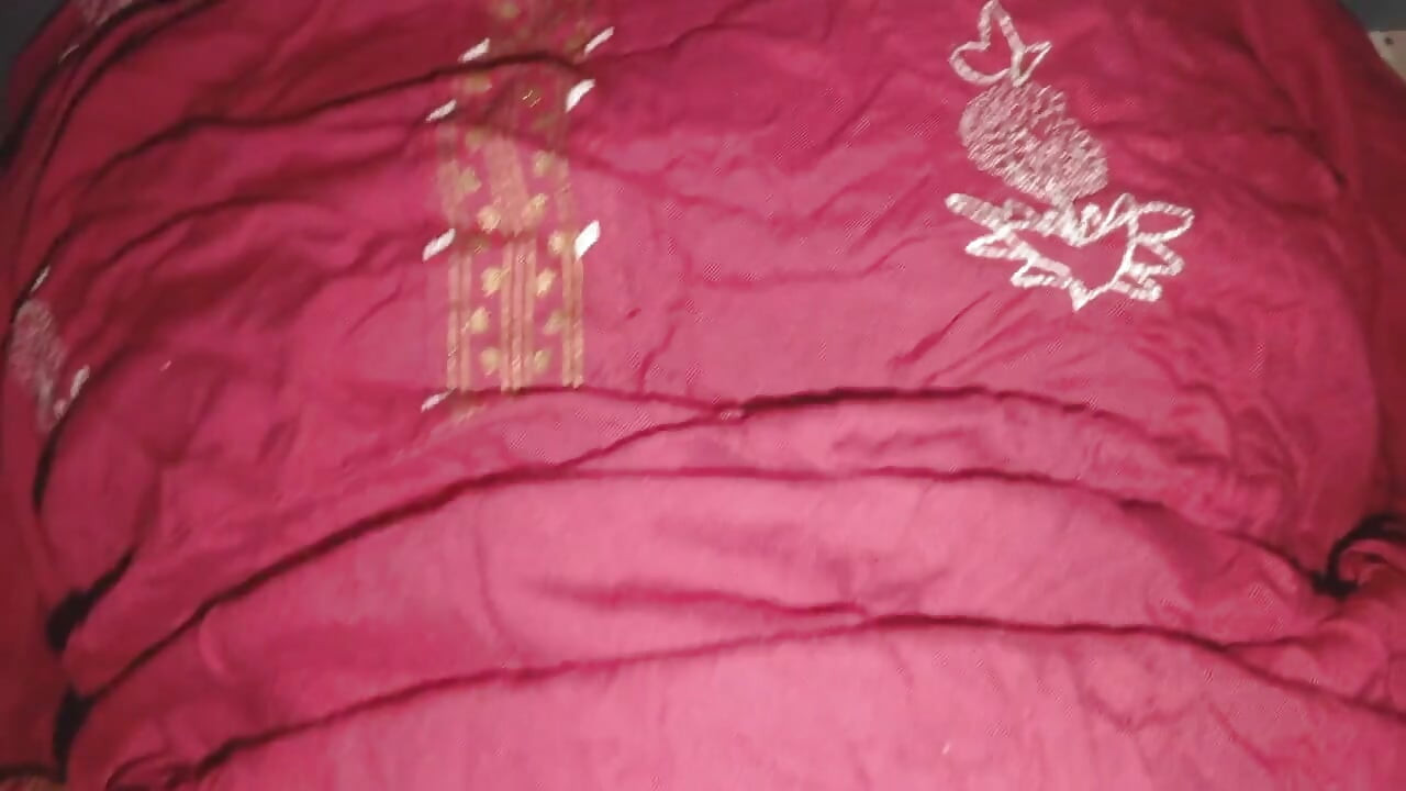 Desi bhabhi ko pela
