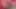 LIZENSIERT ZUM LECKEN - Carolyn Reese, liebt lesben
