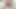 Orta yaşlı seksi kadın amcık görünürde saç ve amcık yıkıyor