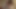 不倫だ。家のバスルームで?