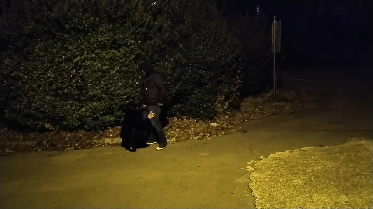 素人自拍口交视频合集