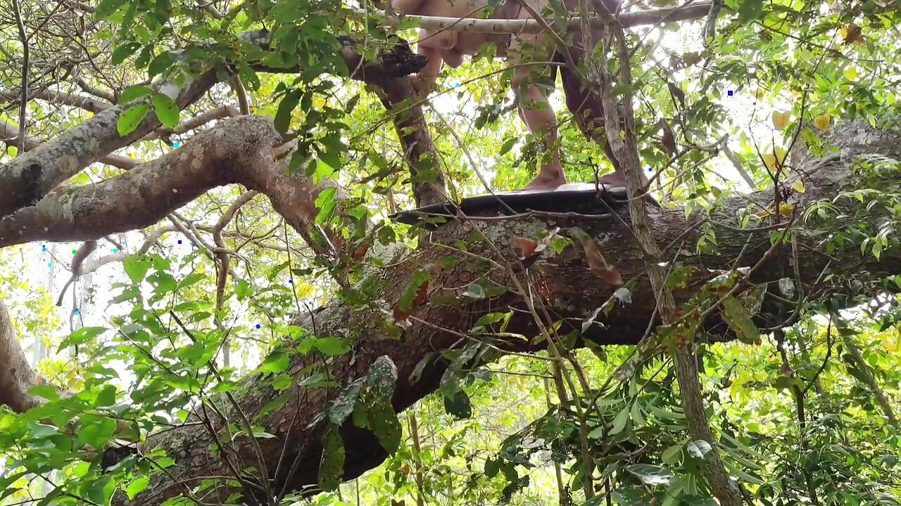 FRIEND I CAUGHT IT IN THE FOREST AND I PUT MY COCK VERY HARD GIVING A SIP INSIDE MY ASS