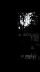 New song.