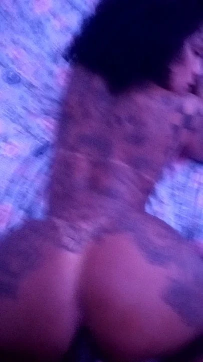 Transex deliciosa (Santa Catarina)