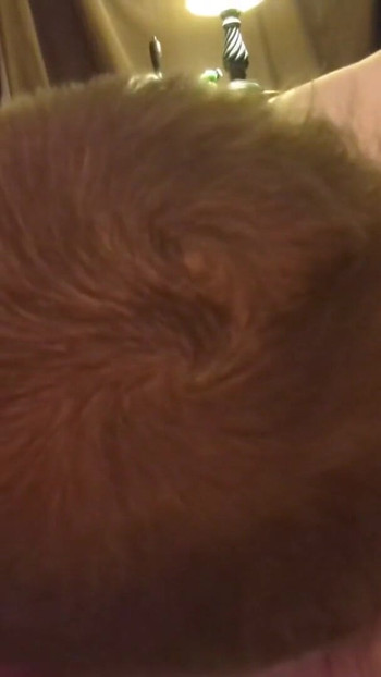 Memorable moment from "BBW In Thong Panties Wants Her Hairy Pussy & Ass Worshiped JOI"