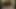 Wife Given A Quick DP.