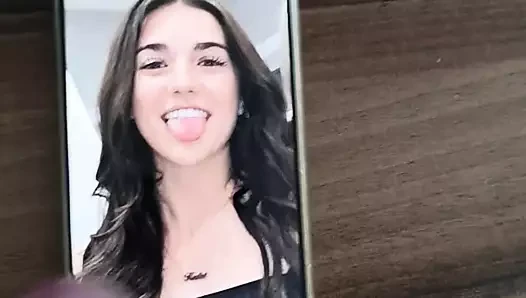 cumtribute isteği