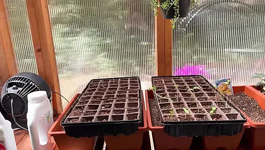 Spring Greenhouse Tour