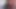 フィッシュネットのクイーン