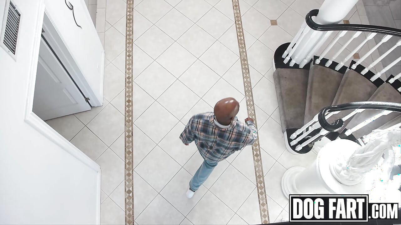 Dogfart - anal oyuncak ısınmasından üvey babasının büyük yarağa - nico luva'nın vahşi ilk hazırlığı