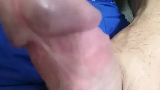 Meu pau