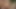 Jeffs người mẫu - Mỡ latina angelina doggystyle biên soạn 1