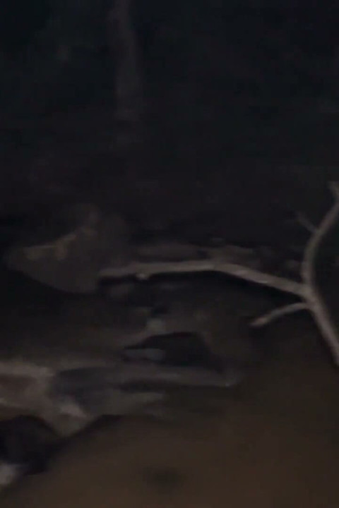 Witches Gather in a Sexual Ritual