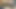 Lechuda Cock 60FPS