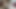 Hairy Cumshot with a Lot of Cock Smell