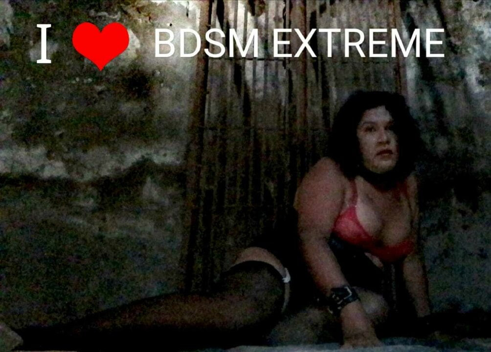 Compilation video of my transvestite ass and my videos sex