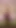 Iconic moment from "OMG! She Fucked Me With Her BUBBLE TITS! by LilyKoti"
