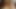 PHV_Milking XIII.2