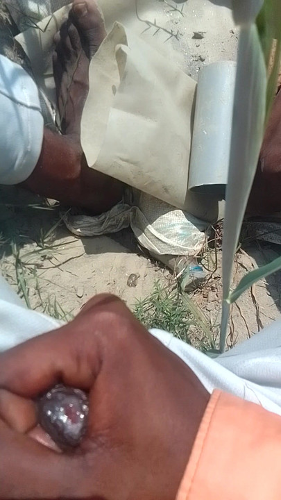 Khokra ka Hangout