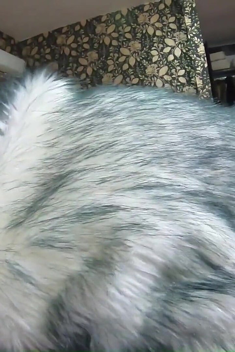穿着毛皮大衣的熟女口交射在我昂贵的毛皮上