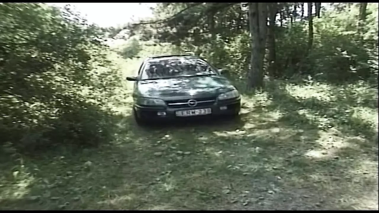 Hairy pussy fucking in the forest on the car