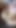 Spectacular moment from "German MILF Stella Star and Girlfriend Seduce to Foursome"