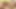 Härtester lesbenfick: Versaute mädchen, sehr heiße muschi lecken und masturbation!! Vol. 1