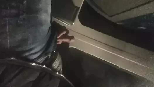 Morgens im Zug nach Hamburg den Schwanz rausgeholt