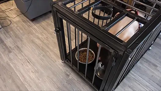 24/7 Käfig den Sklaven im alltag behalten