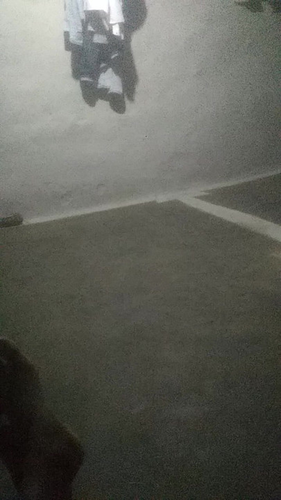 Xnx canlı