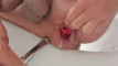 Pregled videozapisa