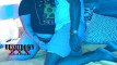 Pregled videozapisa