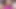 Iris Candy Gypsy Queen blowjob Virtual Reality