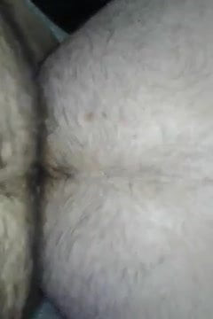 bear bare bear