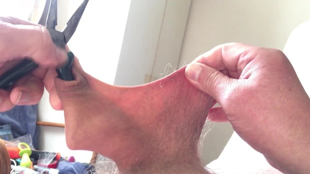 Saturday foreskin session - blue pliers