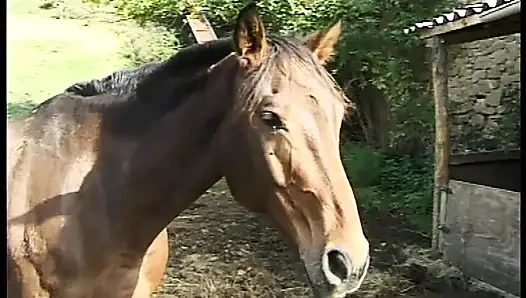 Two Sluts Take It Hard in the Ass