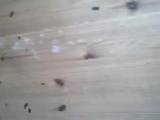 und noch mehr....