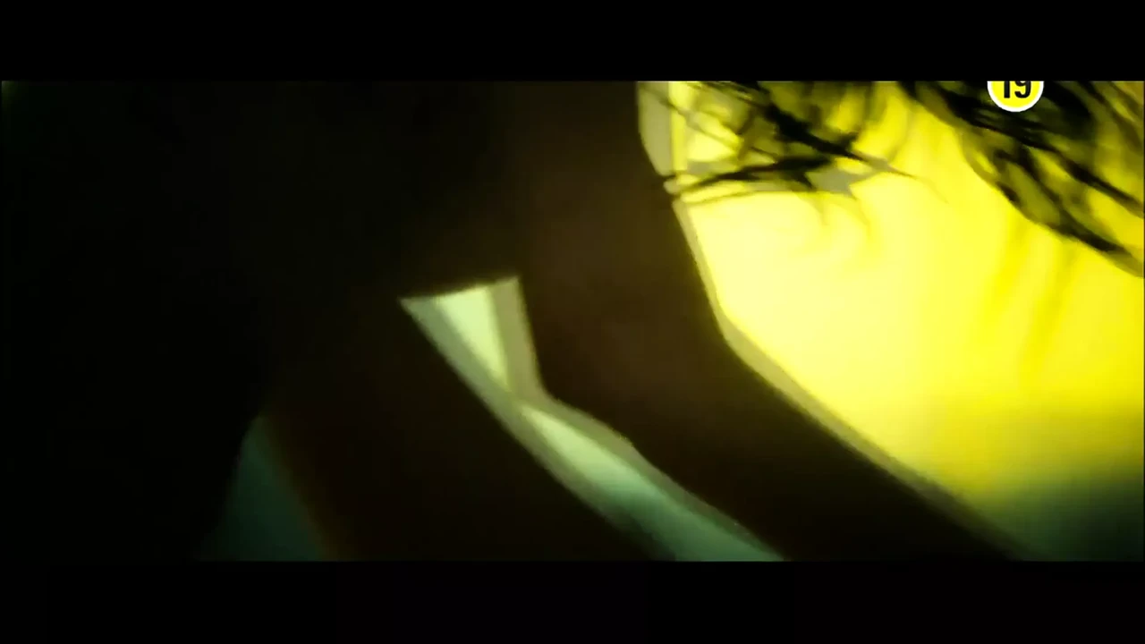 Han Chae Yong 性爱场景 - 更换伴侣 (2007)