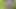 Real Outdoor Sex on the River Bank after Swimming (POV)