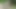 nude woman swing