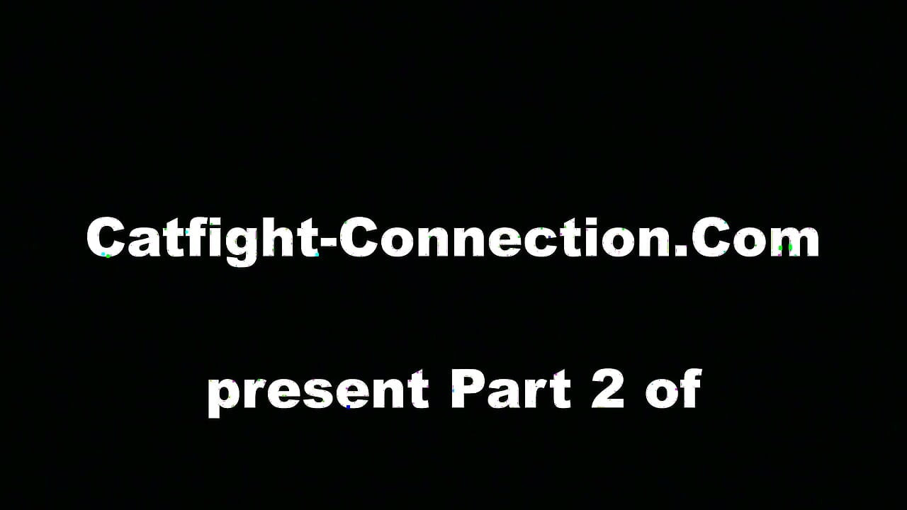 E-c-c 383 Queen-bee Vs Alpha Female