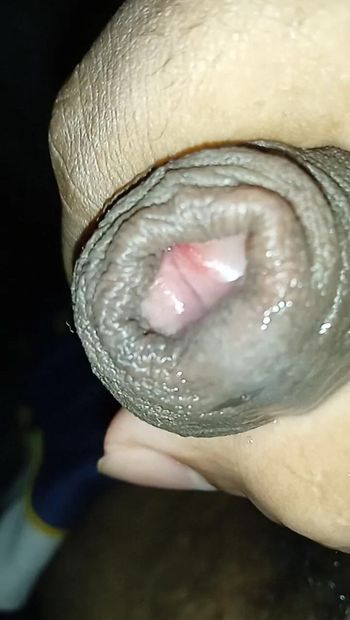 Grosse bite Sinhala